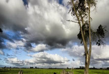 东升国际：全市场：多支英超球队有意小基恩，解约条款只在7月1日至15日触发.