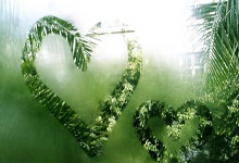 东升国际：八届赛会冠军小威廉姆斯现身迈阿密站，观看德约.