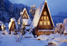 东升国际：八届赛会冠军小威廉姆斯现身迈阿密站，观看德约.