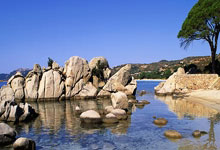 东升国际：八届赛会冠军小威廉姆斯现身迈阿密站，观看德约.